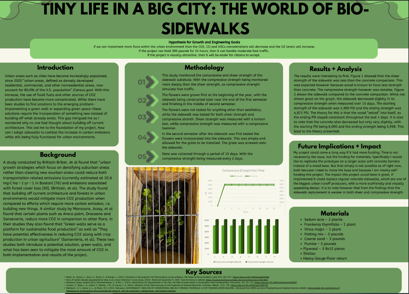 Thumbnail of Tiny Life in a big city the World of Bio Sidewalks 