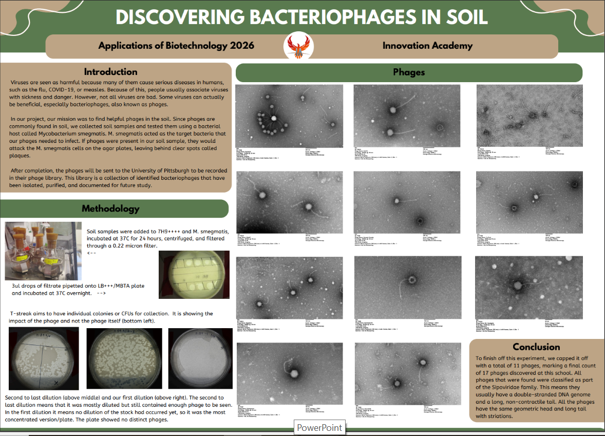 Thumbnail of Discovering Bacteriophages in Soil