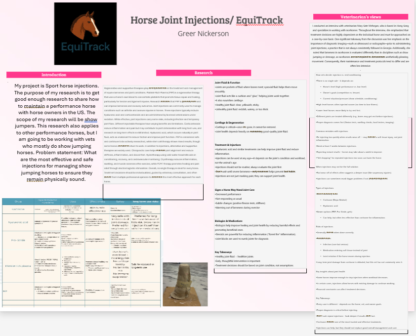 Thumbnail of Horse Joint Injections