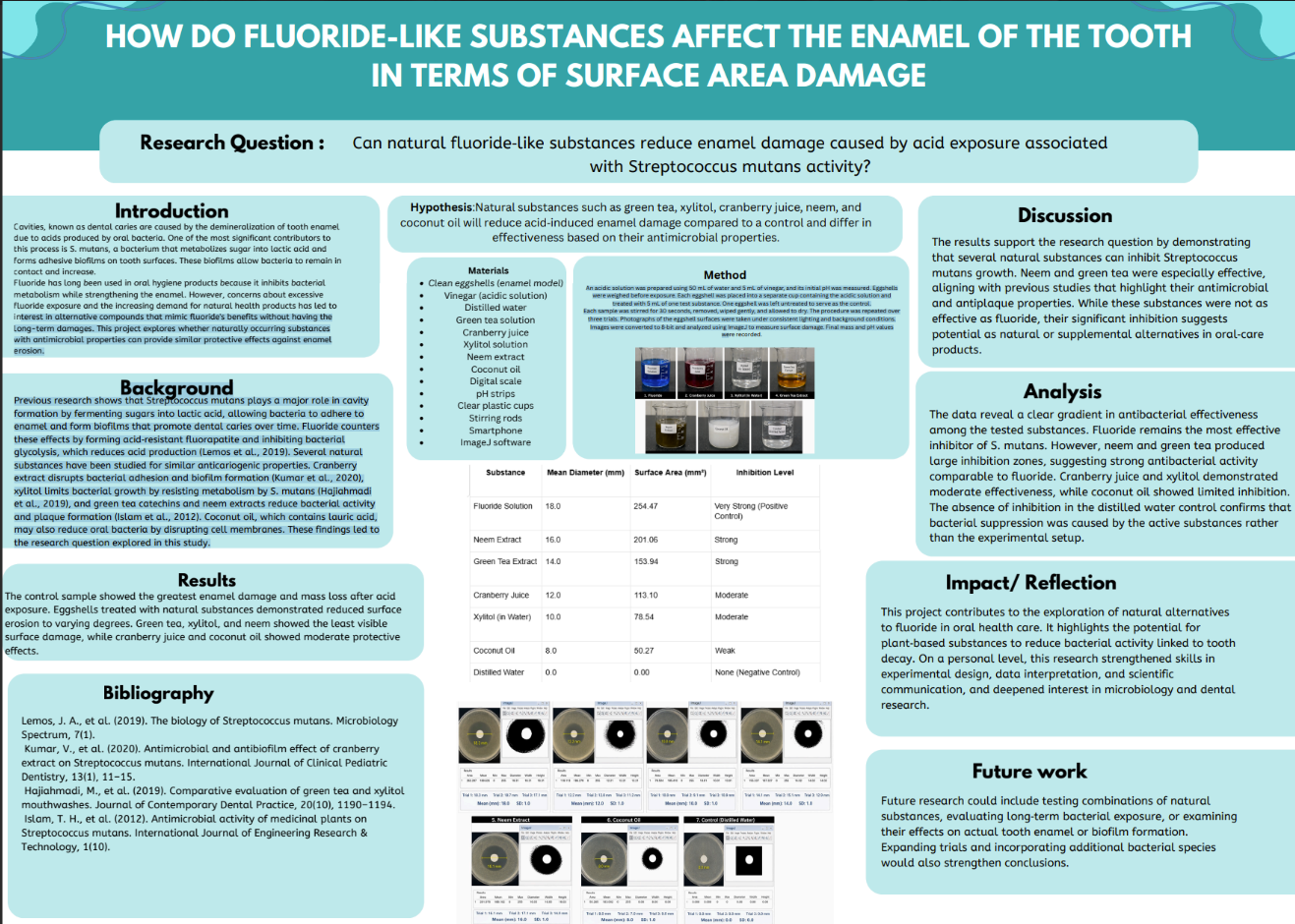Thumbnail of How do fluoride like natural substances affect the enamel of the tooth