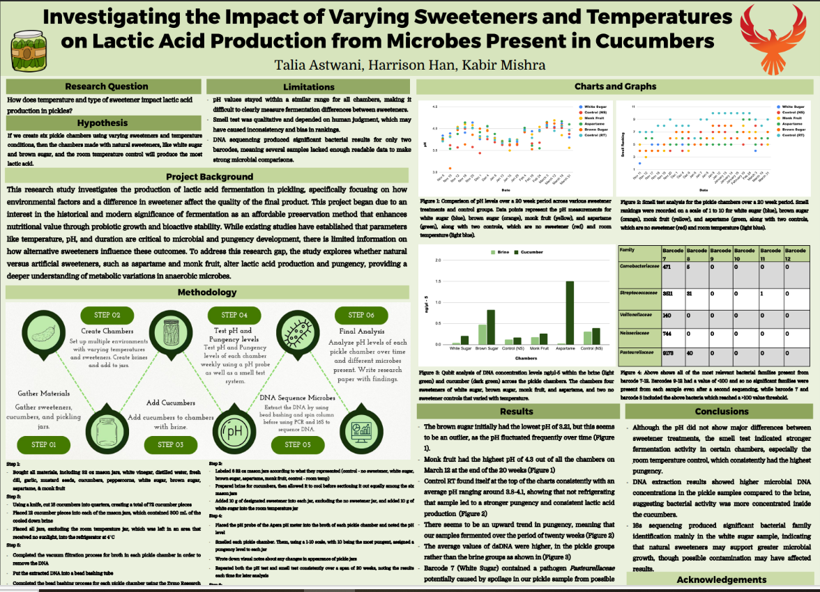 Thumbnail of Investigating the Impact of Varying Sweeteners and Temperatures on Lactic Acid Production from Microbes Present in Cucumbers