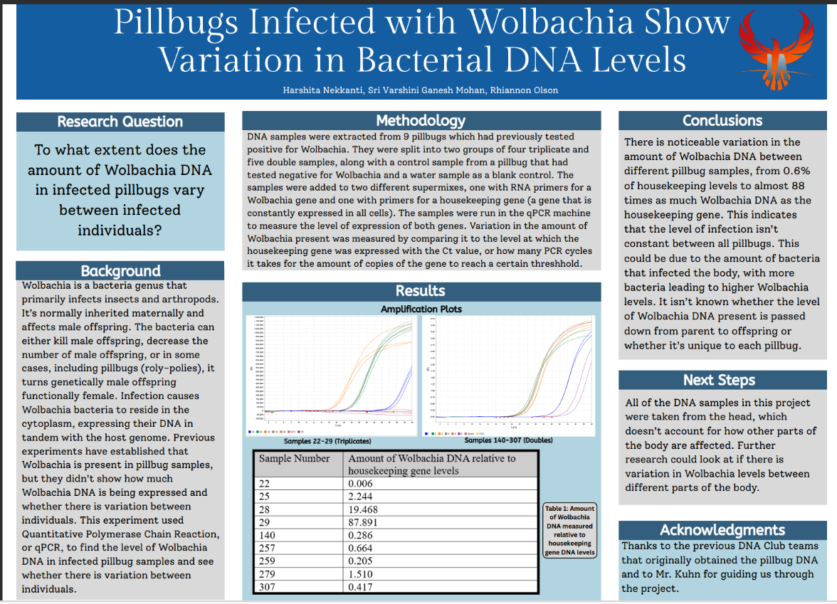Thumbnail of Pillbugs Infected with Wolfbachia Show Variation in Bacterial DNA Levels