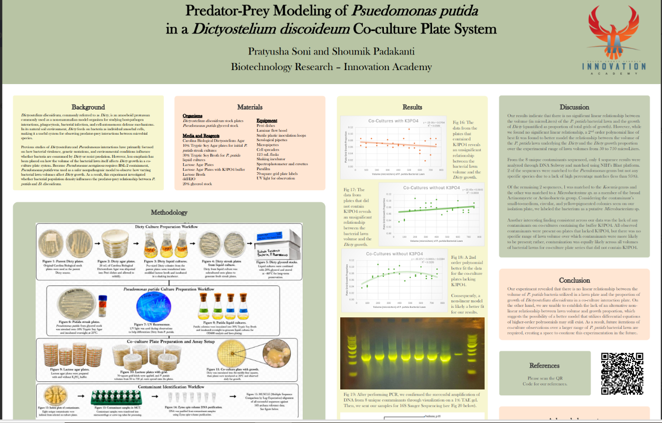 Thumbnail of Predator Prey Modeling of Psuedomonas putida in a Dictyostelium discoideum Co culture Plate System