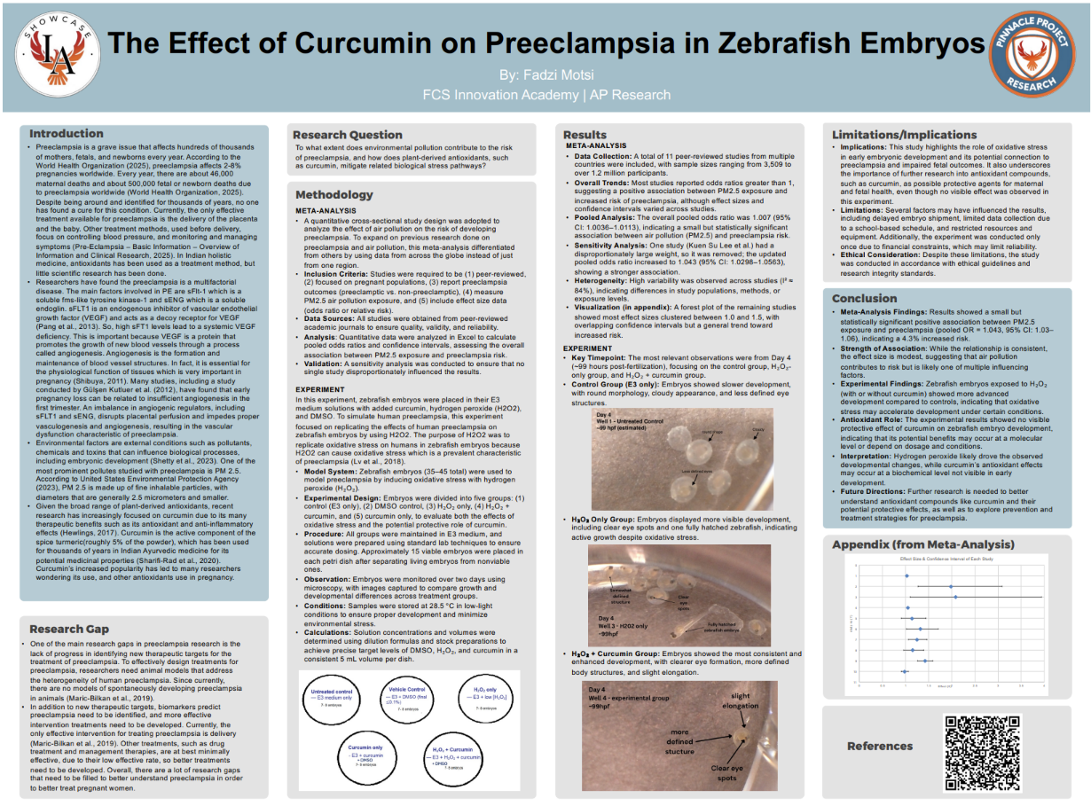 Thumbnail of The Effect of Curcumin on Preeclampsia in Zebrafish Embryos