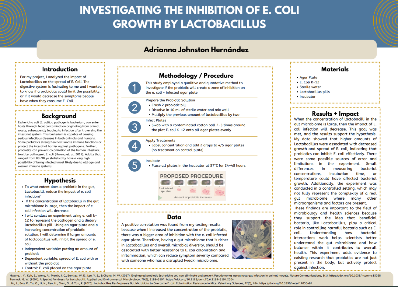 Thumbnail of The Effect of Lactobacillus on the spread of E. Coli.
