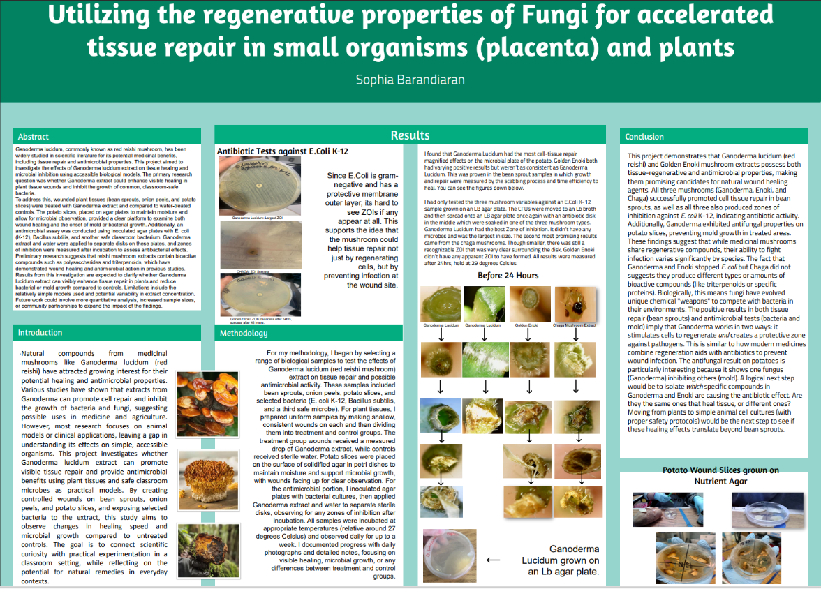 Thumbnail of Utilizing the Regenerative Properties of Fungi for Accelerated Tissue  Repair in Small Organisms (Placenta) and Plants