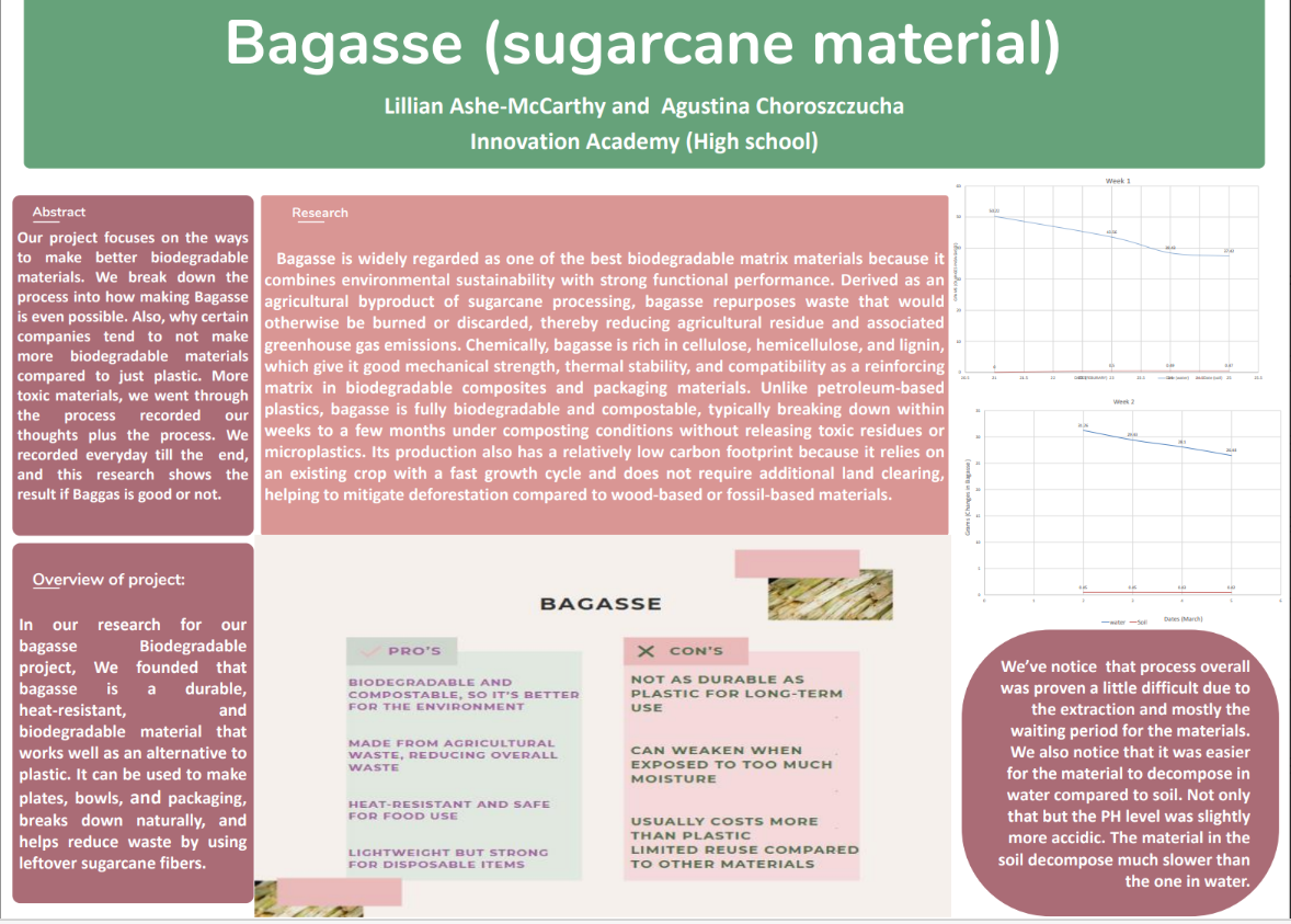 Thumbnail of Bagasse (Sugarcane Material)