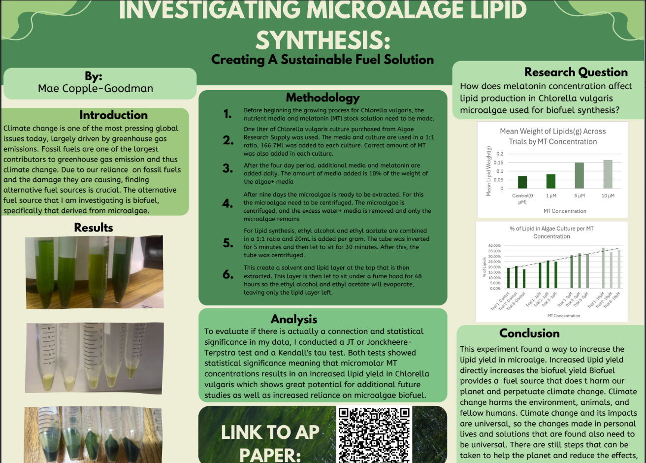 Thumbnail of Investigating Microalgae Lipid Synthesis Creating a Sustainable Fuel Solution
